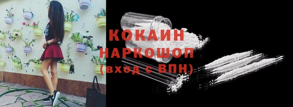 альфа пвп Бородино