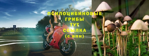 круглые Бронницы