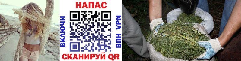 Каннабис SATIVA & INDICA  Навашино 